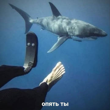https://upforme.ru/uploads/0013/1f/fe/121/t120514.jpg