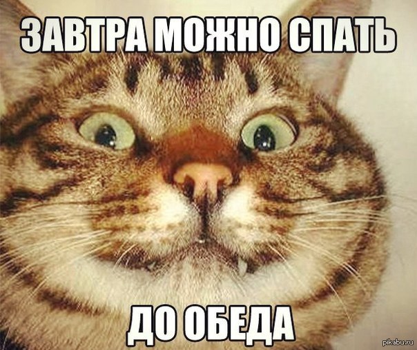 https://upforme.ru/uploads/0013/1f/fe/126/35627.jpg