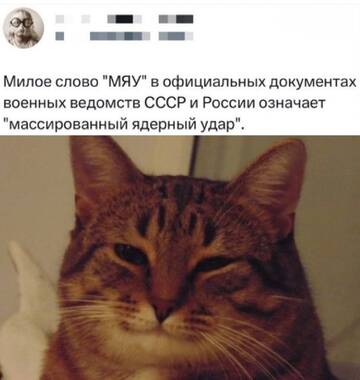 https://upforme.ru/uploads/0013/1f/fe/131/t257115.jpg