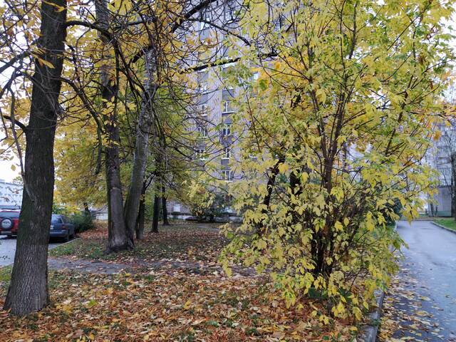 https://upforme.ru/uploads/0013/1f/fe/153/63186.jpg