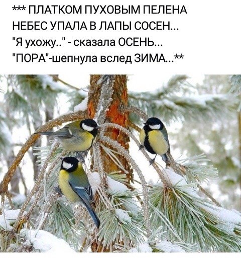 https://upforme.ru/uploads/0013/1f/fe/153/937491.jpg