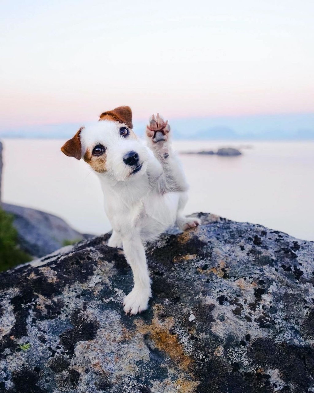 https://upforme.ru/uploads/0013/1f/fe/174/35120.jpg