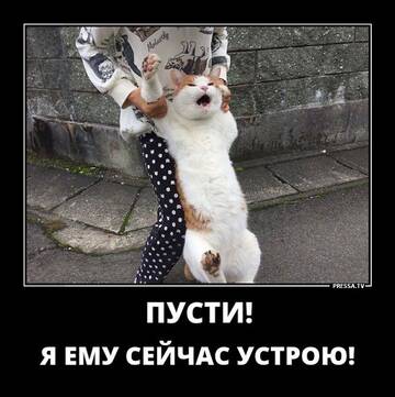 https://upforme.ru/uploads/0013/1f/fe/179/t45119.jpg