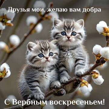 https://upforme.ru/uploads/0013/1f/fe/179/t579760.jpg