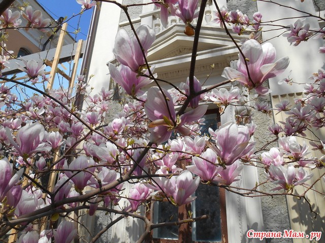 https://upforme.ru/uploads/0013/1f/fe/183/401442.jpg