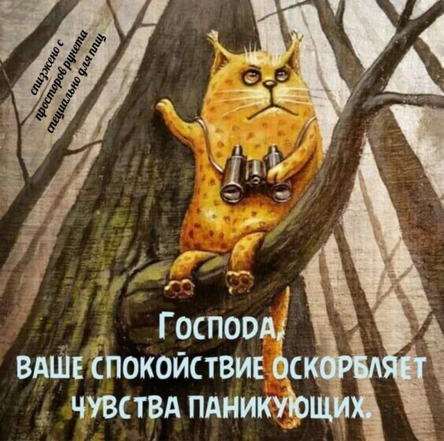 https://upforme.ru/uploads/0013/1f/fe/254/885272.jpg