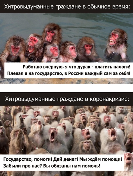 https://upforme.ru/uploads/0013/1f/fe/254/904686.jpg