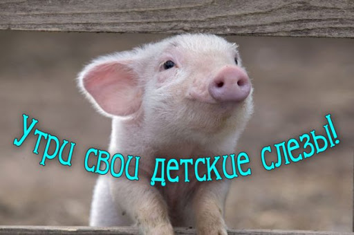 https://upforme.ru/uploads/0013/1f/fe/271/89328.jpg