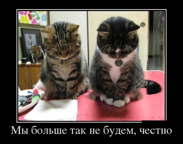 https://upforme.ru/uploads/0013/1f/fe/273/156786.jpg