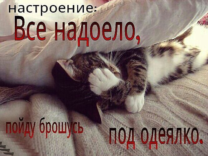 https://upforme.ru/uploads/0013/1f/fe/273/190597.jpg