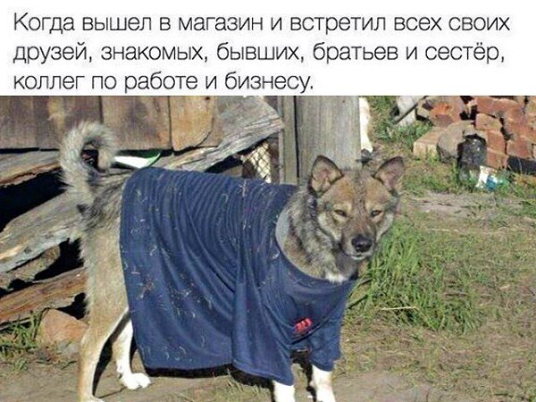https://upforme.ru/uploads/0013/1f/fe/273/199701.jpg