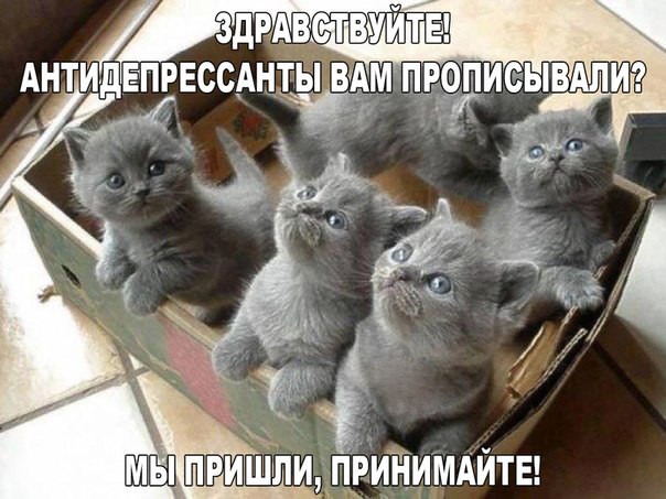 https://upforme.ru/uploads/0013/1f/fe/273/204611.jpg