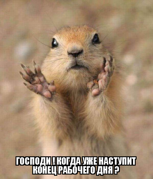 https://upforme.ru/uploads/0013/1f/fe/273/218781.jpg