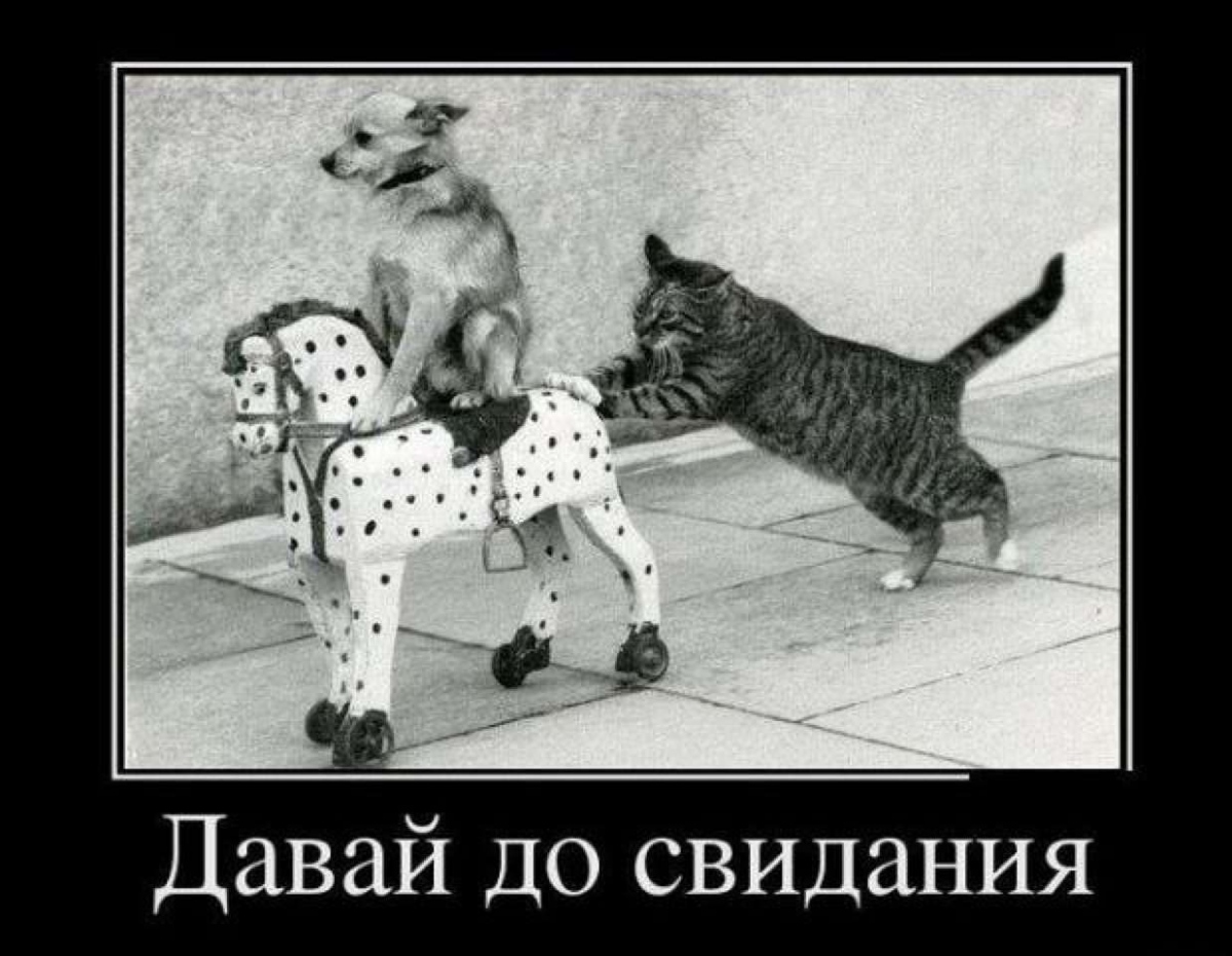 https://upforme.ru/uploads/0013/1f/fe/273/409264.jpg
