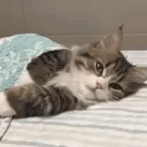 https://upforme.ru/uploads/0013/1f/fe/273/510653.gif