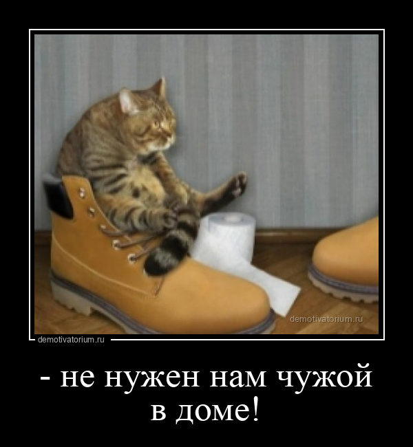 https://upforme.ru/uploads/0013/1f/fe/273/530426.jpg