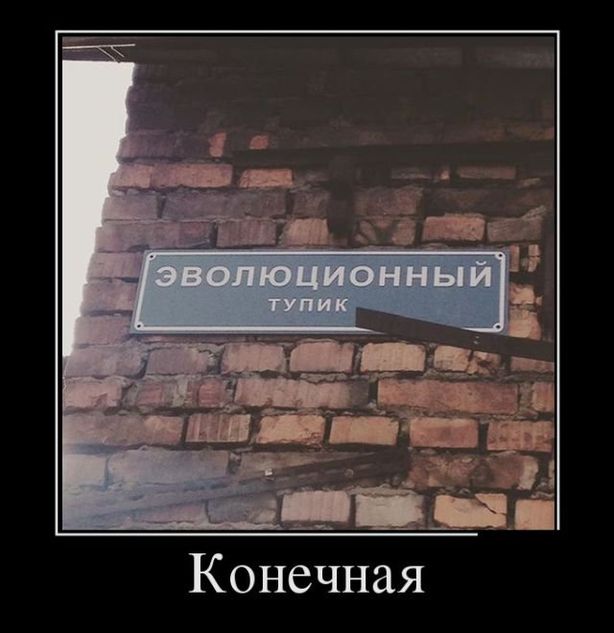 https://upforme.ru/uploads/0013/1f/fe/273/545367.jpg