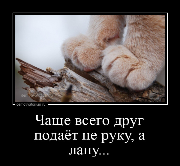https://upforme.ru/uploads/0013/1f/fe/273/548586.jpg