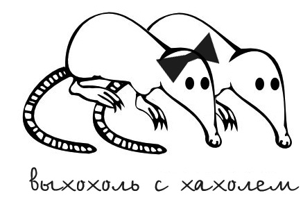https://upforme.ru/uploads/0013/1f/fe/273/614350.jpg