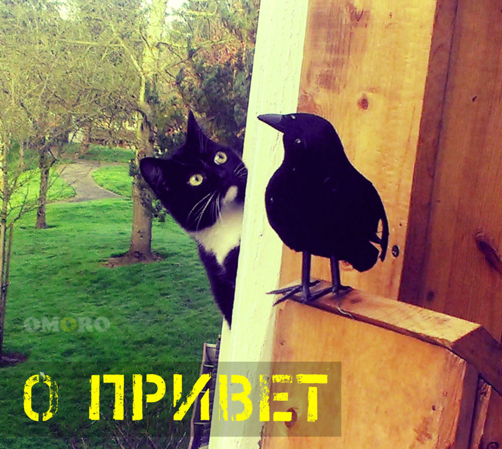 https://upforme.ru/uploads/0013/1f/fe/273/683834.jpg