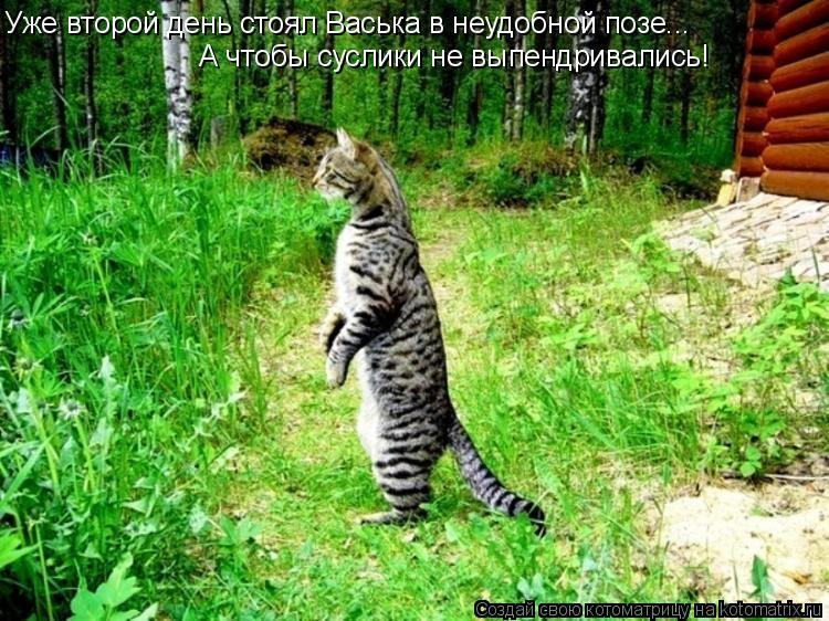 https://upforme.ru/uploads/0013/1f/fe/273/811010.jpg