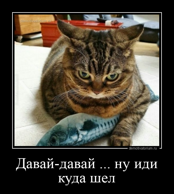 https://upforme.ru/uploads/0013/1f/fe/273/880898.jpg