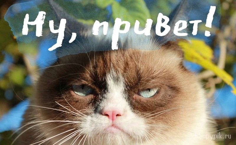 https://upforme.ru/uploads/0013/1f/fe/273/920865.jpg