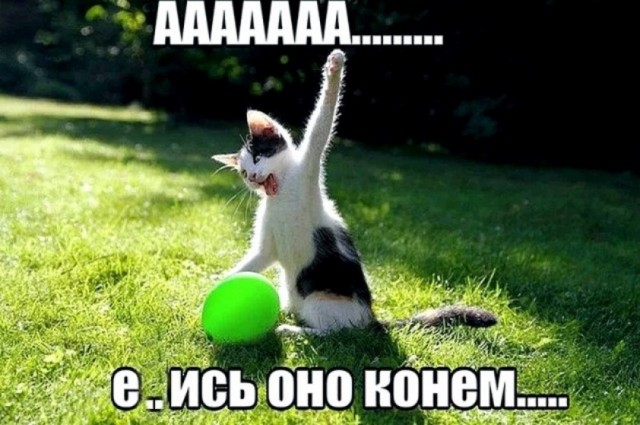 https://upforme.ru/uploads/0013/1f/fe/273/96342.jpg