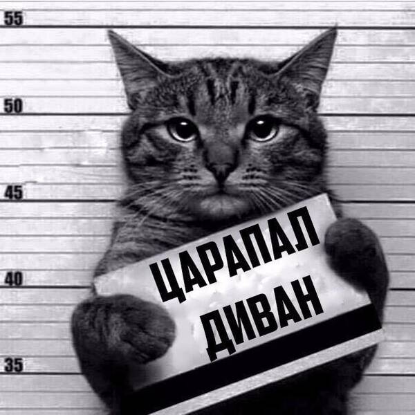 https://upforme.ru/uploads/0013/1f/fe/411/t296449.jpg
