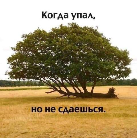 https://upforme.ru/uploads/0013/1f/fe/411/t297261.jpg