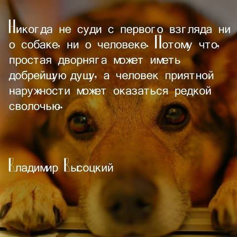 https://upforme.ru/uploads/0013/1f/fe/411/t421868.jpg