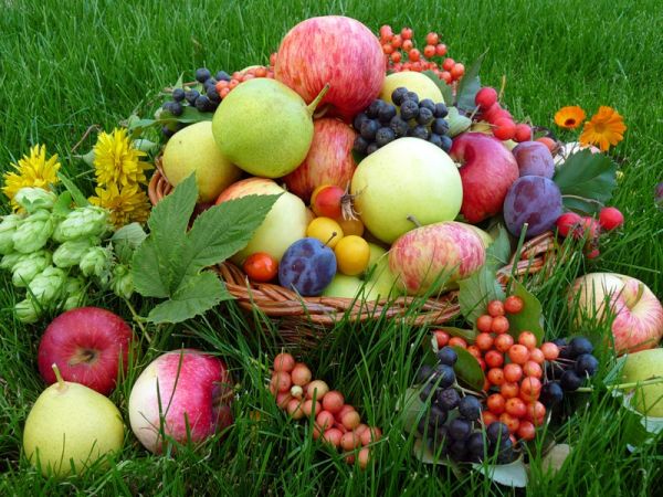 https://upforme.ru/uploads/0013/1f/fe/411/t474433.jpg