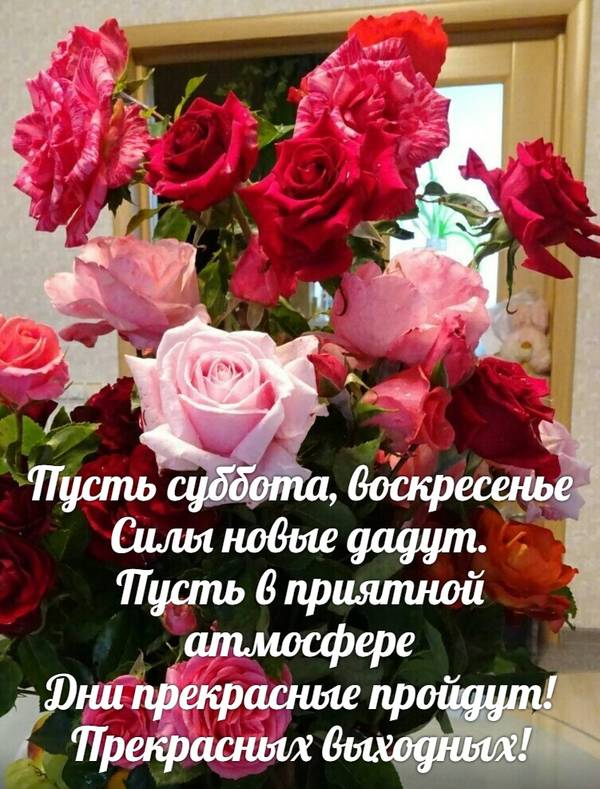 https://upforme.ru/uploads/0013/1f/fe/411/t493542.jpg