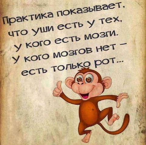 https://upforme.ru/uploads/0013/1f/fe/411/t619846.jpg