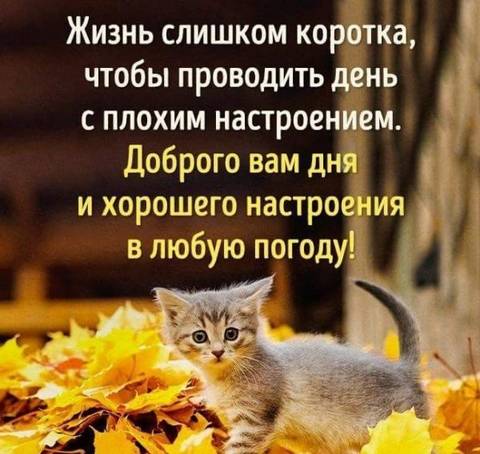 https://upforme.ru/uploads/0013/1f/fe/411/t675093.jpg