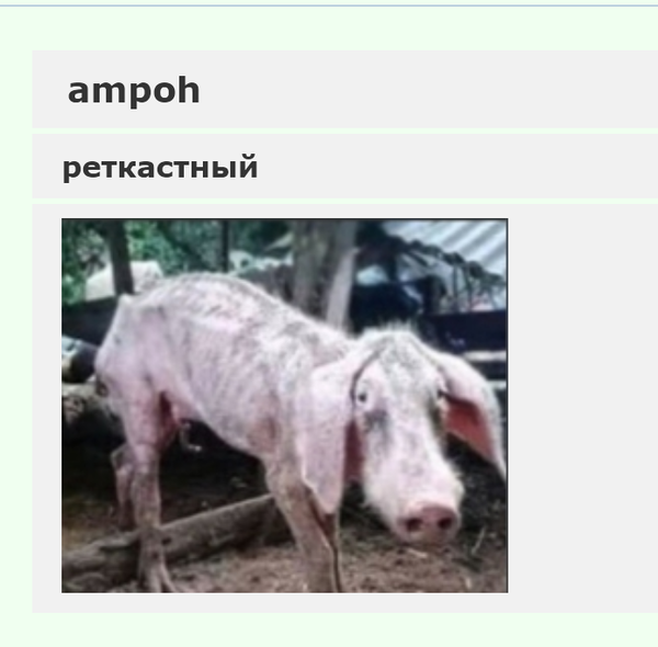 https://upforme.ru/uploads/0013/1f/fe/617/t117480.png