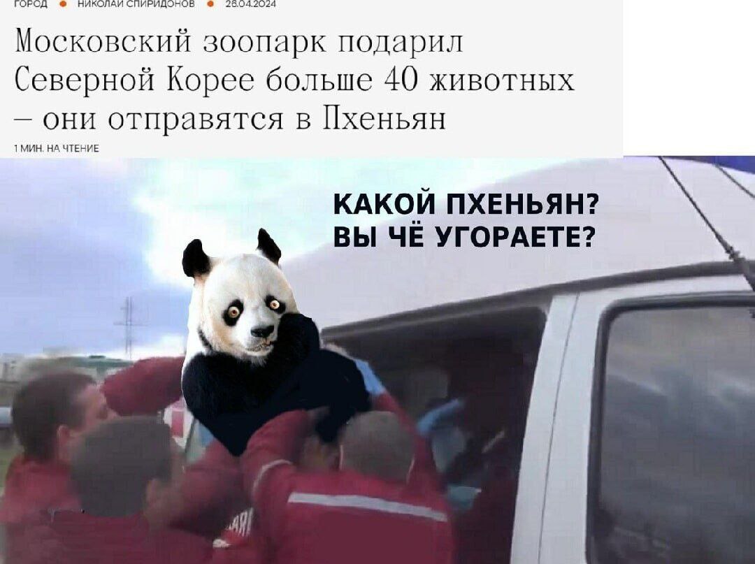 https://upforme.ru/uploads/0013/1f/fe/76/227626.jpg