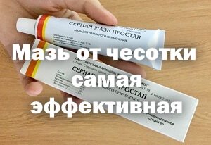 https://upforme.ru/uploads/0013/1f/fe/76/274758.jpg