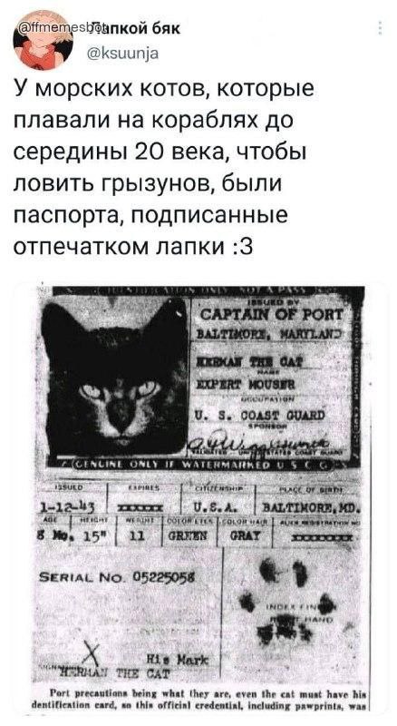 https://upforme.ru/uploads/0013/1f/fe/76/286572.jpg