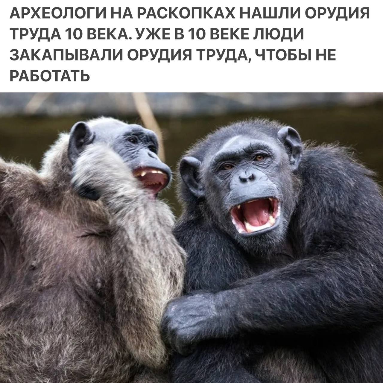https://upforme.ru/uploads/0013/1f/fe/76/345790.jpg