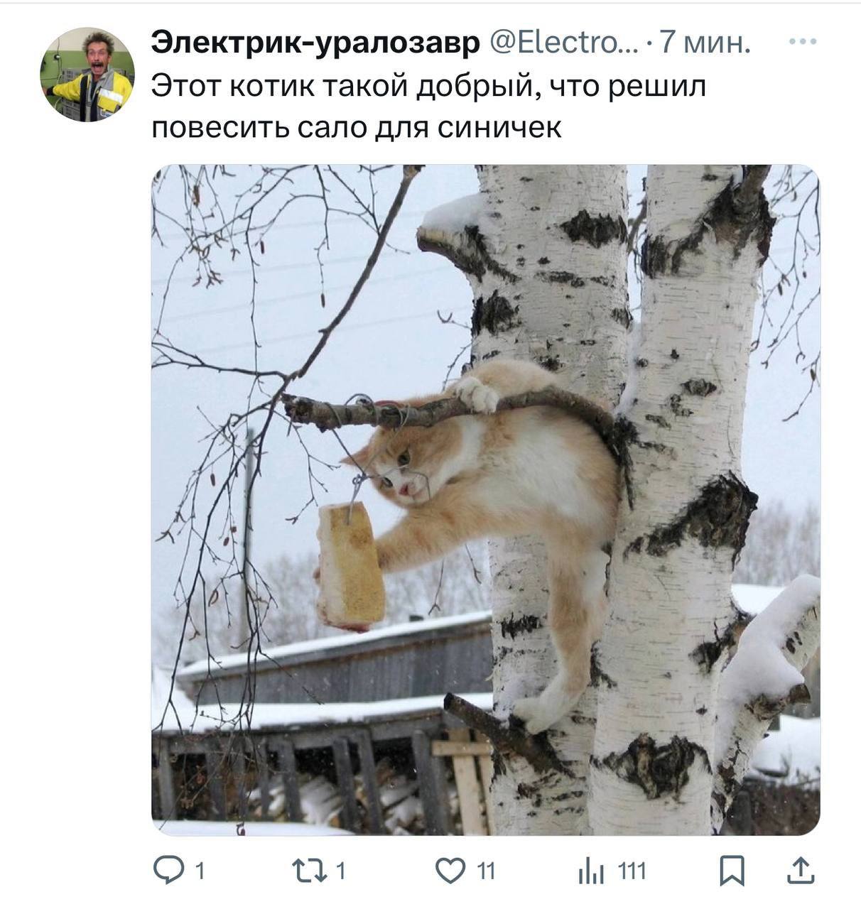 https://upforme.ru/uploads/0013/1f/fe/76/794049.jpg