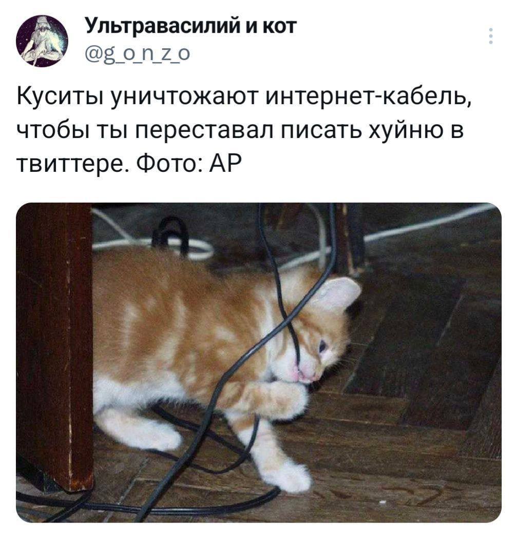 https://upforme.ru/uploads/0013/1f/fe/76/828502.jpg