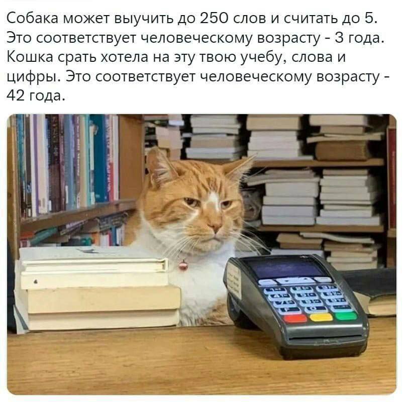 https://upforme.ru/uploads/0013/1f/fe/76/909924.jpg