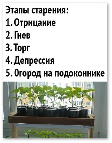 https://upforme.ru/uploads/0013/1f/fe/82/t406775.jpg