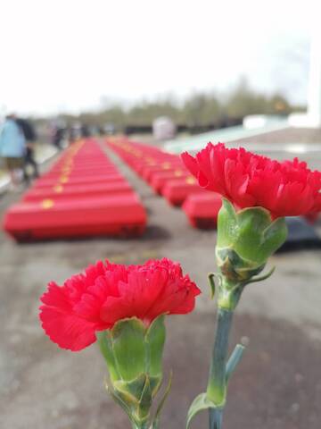 https://upforme.ru/uploads/0013/1f/fe/82/t627841.jpg