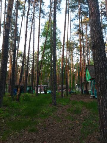 https://upforme.ru/uploads/0013/1f/fe/82/t764187.jpg