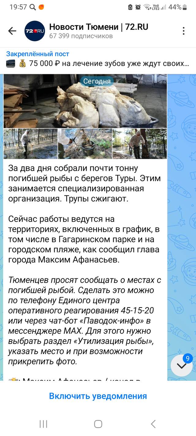 https://upforme.ru/uploads/0013/1f/fe/84/153956.jpg