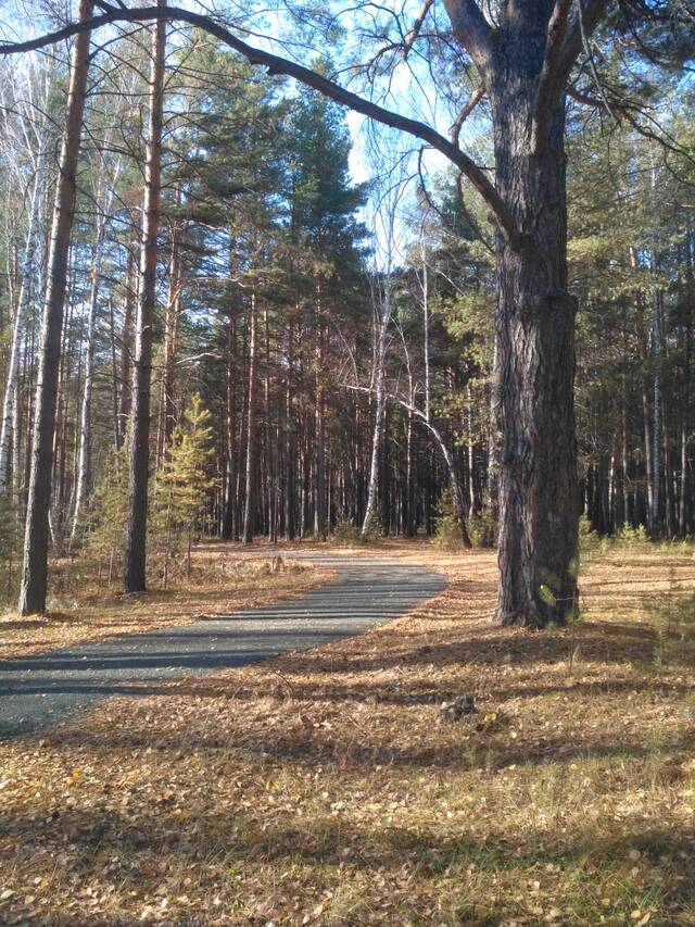 https://upforme.ru/uploads/0013/1f/fe/84/199322.jpg