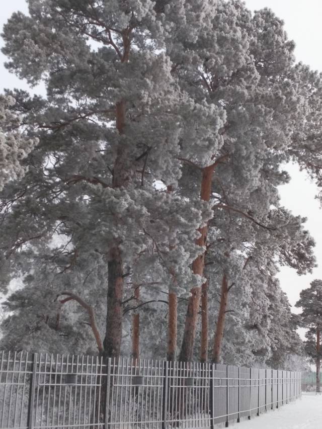 https://upforme.ru/uploads/0013/1f/fe/84/34659.jpg