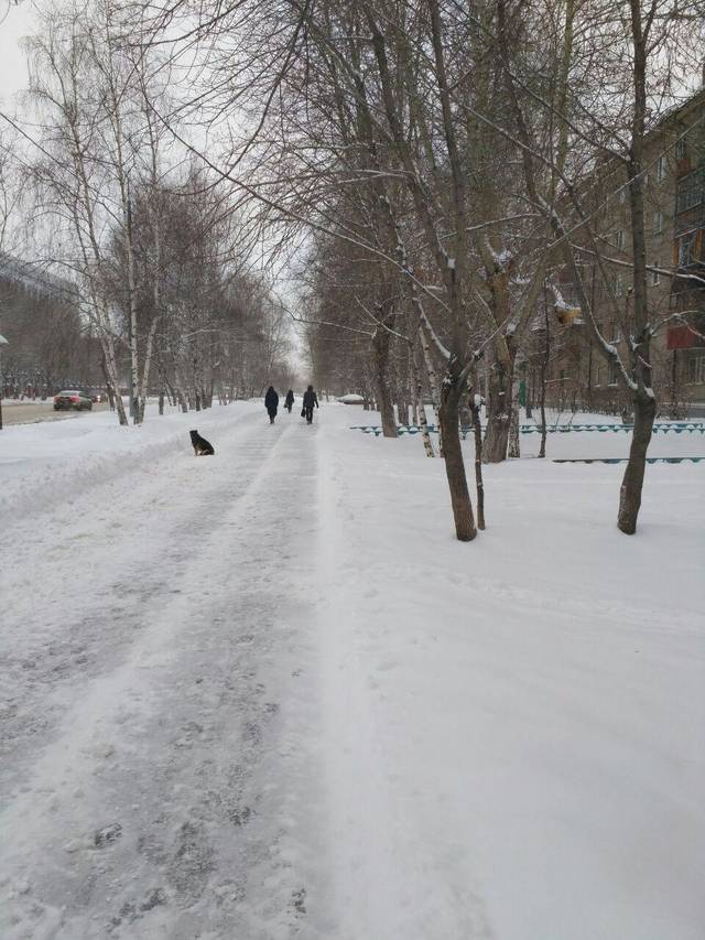 https://upforme.ru/uploads/0013/1f/fe/84/39526.jpg